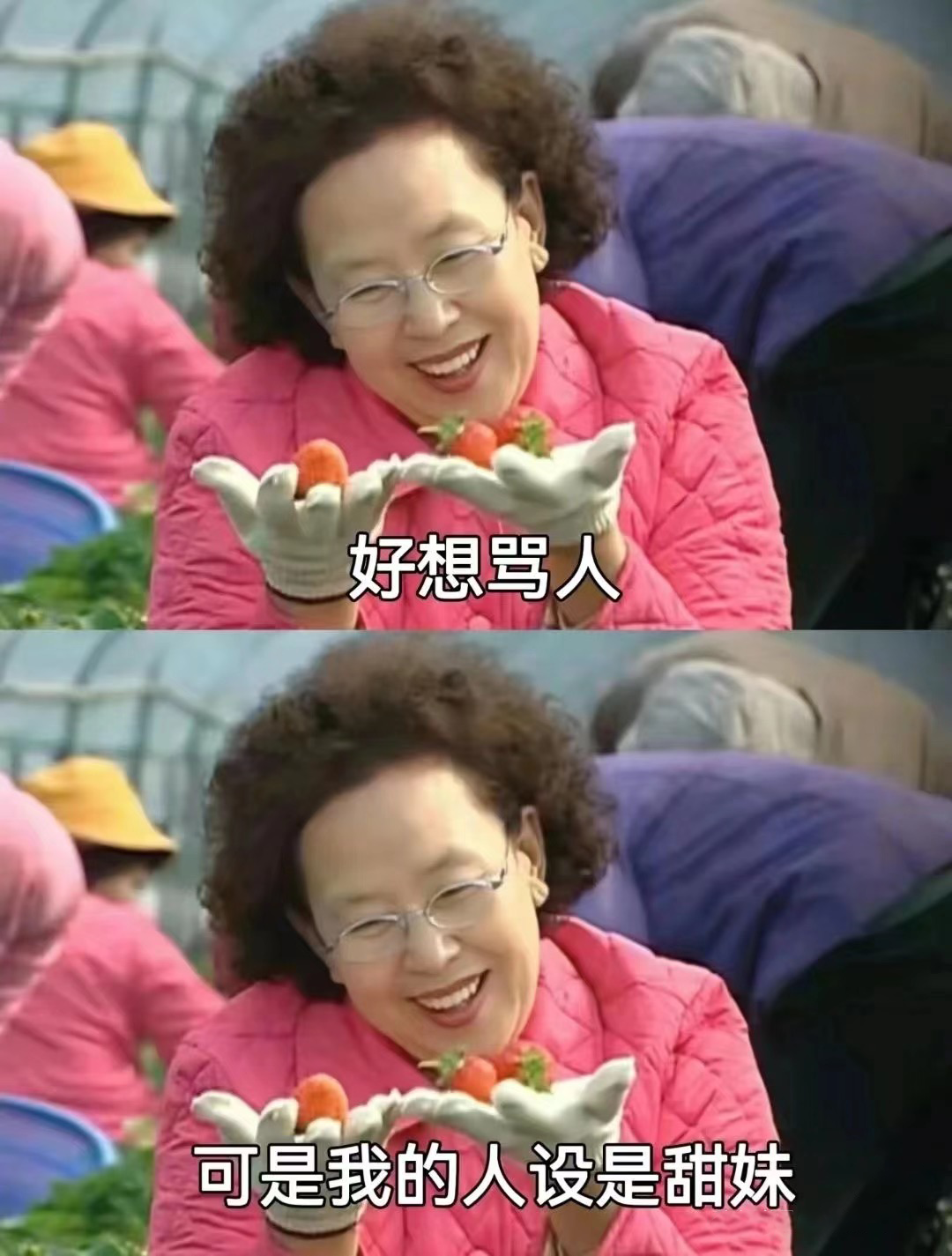 微信图片_20241212170150.png